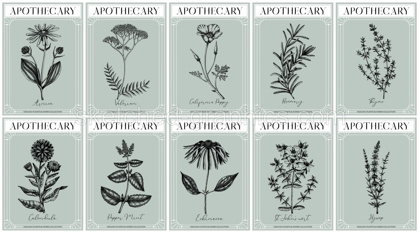 Apothecary labels set. Healing plants and medicinal herbs sketches. Art nouveua, adt deco, vintage, retro style. Frame design templates. NOT AI generated Illustration
